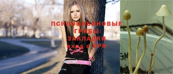 мдма Кодинск
