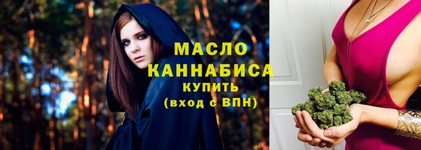 шишки Тайга