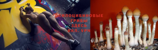 ГАЛЛЮЦИНОГЕННЫЕ ГРИБЫ Козельск