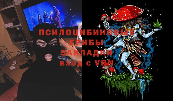 метадон Козловка