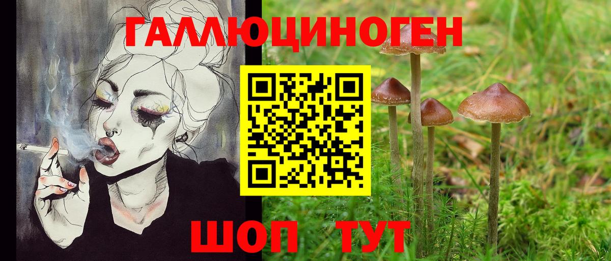 Галлюциногенные грибы мухоморы  Псилоцибиновые грибы прущие грибы  Янаул  Вход с VPN 